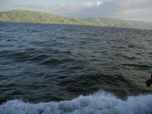 0_2f2b9_5578f36a_XL