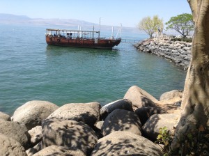 IMG_0384