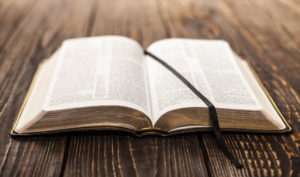 readbible5